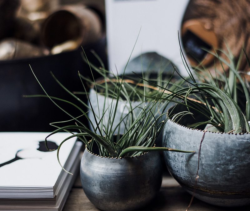 2020 Training calendar dates and courses available